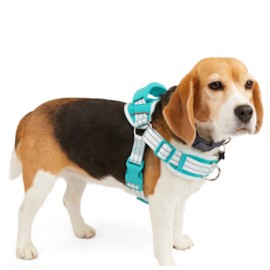 Everyay Every Yay Embrace The Pace Training Dog Harness Small New W/Tags Blue