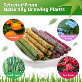 PStarDMoon Rabbit Chew Toys for Teeth, Timothy Grass Carrot Sticks for Guinea Pig Hamster Chinchilla Squirrel Bunny Small Rodent Animals (20 pcs)