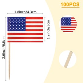 BQTBQT Latin America 21 Countries Mini Toothpick Flags Decorations Party Theme, Spanish Language Speaking Assorted Latino Cupcake Toppers Cocktail Food Flags Decor（105 Pcs）