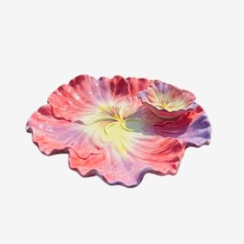Minigift 11 Inch Ceramic Chip & Dip Serving Tray | Double Layer Hand-Painted Coral Pansy Plate | Divided Appetizer Platter for Salsa, Veggies & Snacks