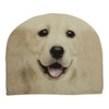 tea cosy labrador blond