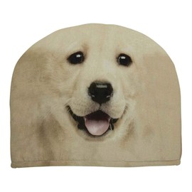 tea cosy labrador blond