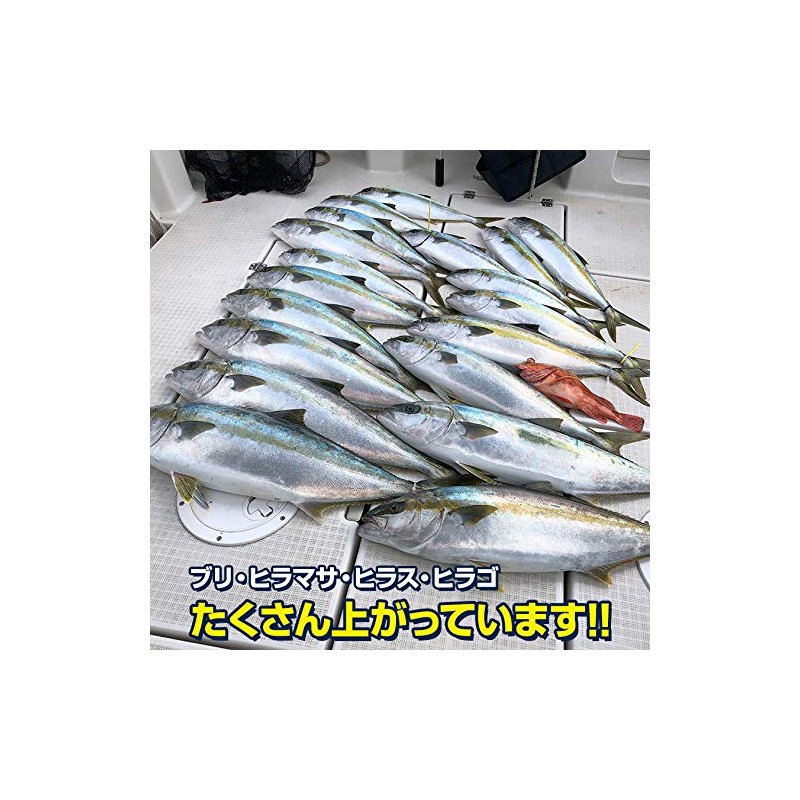 Lure, Metal Jig, 7.4 oz (210 g), Long Yellowtail, Inshore