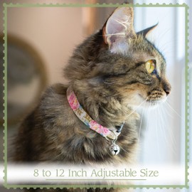 Country Brook Petz - I Love Mom Cat Collar - Attitude Collection with 2 Untamed Designs