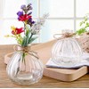 vipolish 1Pcs Empty Clear Glass Diffuser Bottle Aromatherapy Diffuser Jar