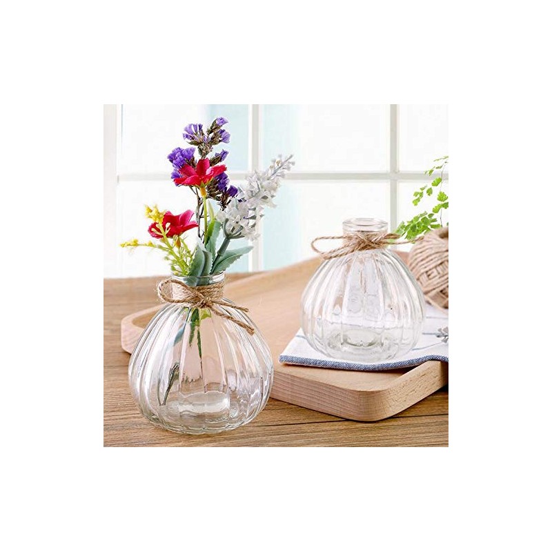 vipolish 1Pcs Empty Clear Glass Diffuser Bottle Aromatherapy Diffuser Jar