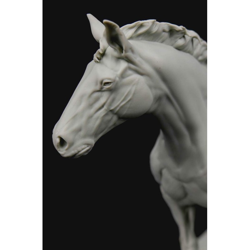 3dtotal Anatomy: Equine figure