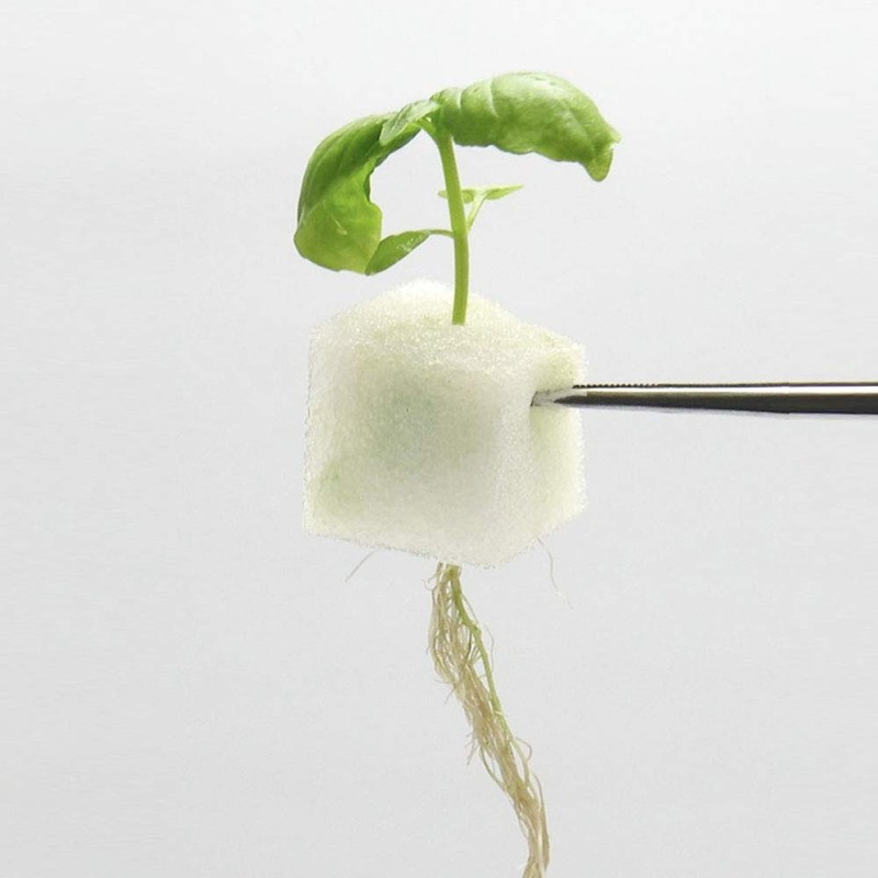 Living Farm Basil Hydroponic Cultivation Seedling Kit (Seeds)