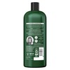 TRESemm TRESemme Botanique Damage Recovery Shampoo for damaged hair +