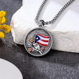 MEIDERBO Puerto Rico Necklace Coqui Frog Pendant 925 Sterling Silver Puerto Ricans Jewelry Gifts for Men Women