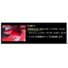 HASEPRO Magical Carbon [Hologram Fuel Cap Emblem] (Red) Honda (For