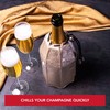 vacu vin Champagne Cooler Platinum Pattern