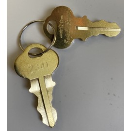 Slot Machine Jackpot IGT Reset Keys 2341 SafeCo Brands 2-Keys