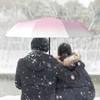 EEPLUYTY Umbrellas, Automatic Umbrella, Pocket Umbrella Open-Close with 8 Ribs,
