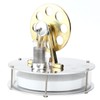 Low Temperature Stirling Engine Model Steam Power Physics Toy Lab