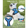 Luxelle 2 Pack Escape-Proof Cat Harness and Leash Set for