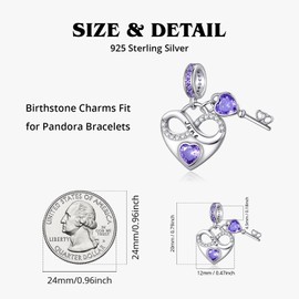 PHRUKAR 925 Sterling Silver June Birthstone Charm for Charm Bracelet Infinity Love Heart Dangle Charm for Bracelet and Necklace, Birthday Mother's day Christmas Jewelry Gifts for Women