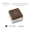 TOY's x INITY T-CP06 Gurege Acrylic Color Powder 0.2 oz
