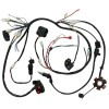 Unbranded/Generic Electric Start Wiring Harness Magneto Stator GY6 150cc ATV