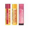 Burt's Bees Balsami Labbra in Vasetto, 1 x alla Cera