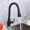 RELIAFLO Pull Down Kitchen Faucet in Matte Black - D11018-49