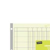 Staples 217893 Columnar Pads 13 Columns 11-Inch x 16 5/16-Inch