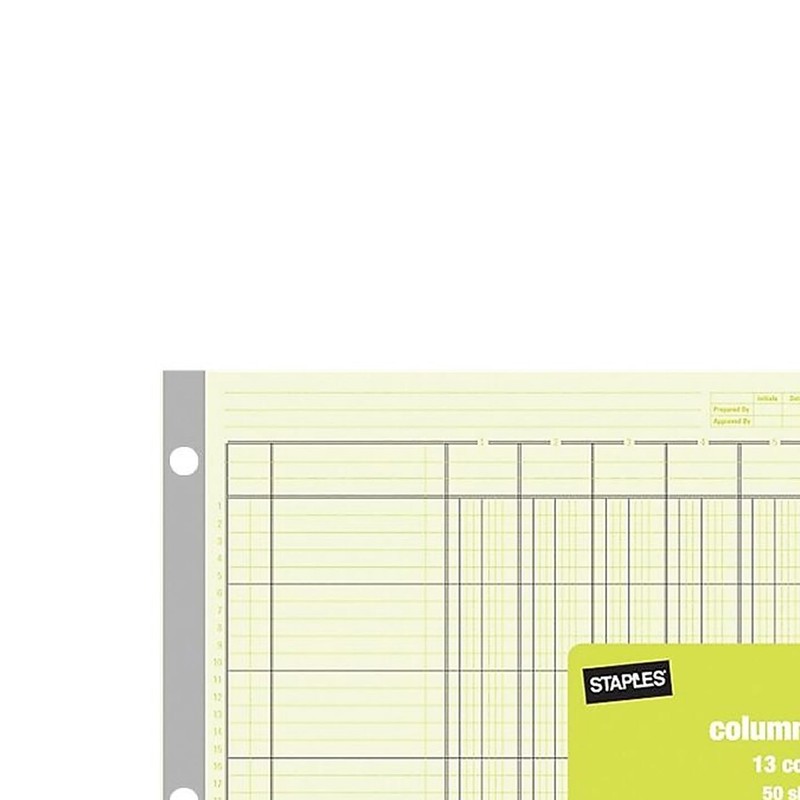 Staples 217893 Columnar Pads 13 Columns 11-Inch x 16 5/16-Inch
