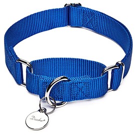 Dazzber Martingale Collars for Dogs, Adjustable, Durable, No Escape Stop, Pull Dog Collar Nylon for Large/Medium/Small Dogs (M (36 cm-53 cm), Blue)