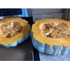 Beesrwelcome Jarrahdale Blue Pumpkin Seeds For 2024 Year~South Dakota Homegrown