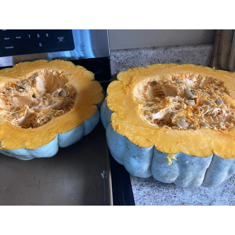 Beesrwelcome Jarrahdale Blue Pumpkin Seeds For 2024 Year~South Dakota Homegrown