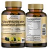90 Count (Pack of 1) Liposomal Glutathione organic Vitamins 3000mg