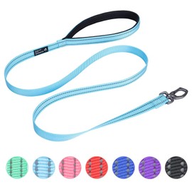 EXCELLENT ELITE SPANKER Strong Durable Nylon Dog Training Leash Traction Rope 4 Feet Long 3/4" Wide with Handle for Small Dogs(Light Blue)