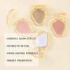 Boobeen Multi Palette - Bronzer Highlighter Blush Palette, Pressed Powder