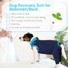 PUMYPOREITY Dog Surgery Suit, Post Op Dog Recovery Suit Dog