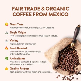 Magic Mexico Medium Roast Whole Bean Coffee, Organic, Low Acid, GMO-Free, 12 oz.