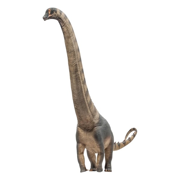PNSO Prehistoric Dinosaur Models (79 Samuel The Alamosaurus)