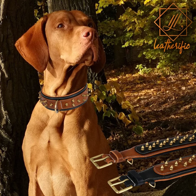 Genuine Leather Dog Collar by Leatherific, Premium Bridle Leather, Heavy