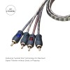 Recoil RCI43 100% OFC 3ft 4 Channel RCA Audio Cable,