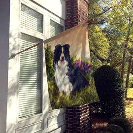 Caroline's Treasures PPP3031CHF Border Collie Simplicity House Flag Large Porch Sleeve Pole Decorative Outside Yard Banner Artwork Wall Hanging, Polyester, House Size, Multicolor