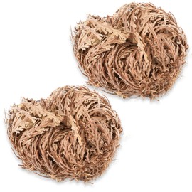 Two - Rose of Jericho Flower I Large Size | Flor de Jericó - Resurrection Plant | Selaginella Lepidophylla | Dried Rose I Doradilla Plant | 5''' - 7'' Each I Spiritual Cleansing, Luck, and Prosperity