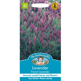 Mr Fothergill's 23939 Flower Seeds, Lavender French