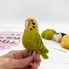 Bergin & Bath Needle Felting kit Budgie. Make a Green