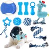 Juego de Juguetes para Perros de 10 Piezas - Juguetes