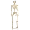 Crazy Bonez Pose-N-Stay Metal Stand for 60 Inch (5 Ft.)