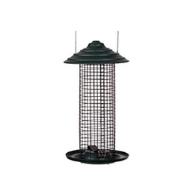 Woodlink NAMINIMAG1 Audubon Mini Steel Sunflower Oil Magnum Wild Bird Feeder, Black