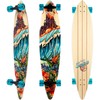 Sector 9 Bamboo Maverick 44" Pintail Skateboard