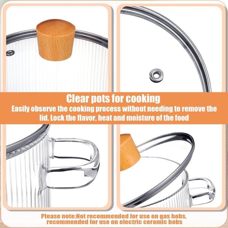 Tioncy 2 Pcs Clear Glass Pots for Cooking on Stove