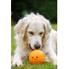 Petface Latex Orange Soft Chew Dog Toy, Large