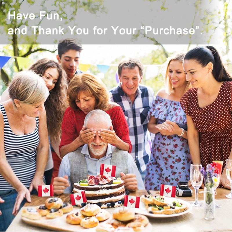 100 Pieces Canada Flag Toothpicks, Small Food Cupcake Topper for