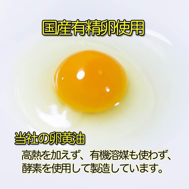 ファイン 卵黄にんにく 卵黄油 にんにくエキス プラセンタ配合 国内生産 (1日2～6粒/120粒入)×2個セット